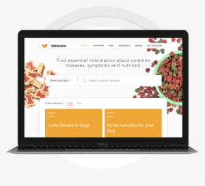 Offering Open Source Web Development Services - Content Management System