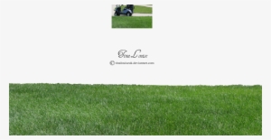 Adobe Illustrator Cs6, Free Stock Image, Grasses, Adobe - Lawn