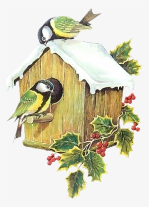A Feedback Would Be Very Nice - Bird In House Winter Clipart