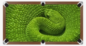 Green Snake Custom Made Printed Pool Snooker Billiard - Reptile Anatomy Books