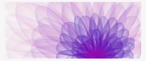 Flowers Png Pink Purple
