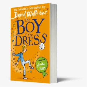 The Boy In The Dress - Boy In The Dress Book