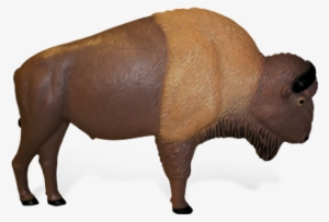 Buffalo - Rinehart Sasquatch Archery Targets