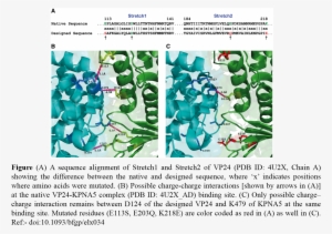 Therefore, We Proposed A Protein Interaction And Protein - Graphic Design