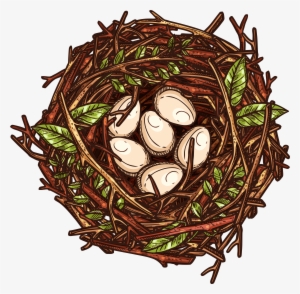 Nest Png