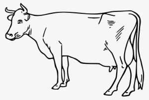 This Free Icons Png Design Of Cow 4