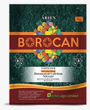 Borocan - Graphic Design