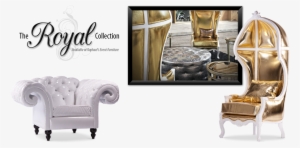 Royal Chair Rental Home Image Ideas - Royal Chairs For Events