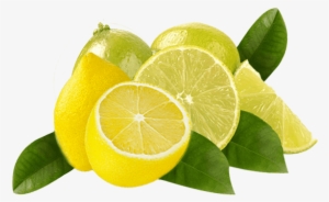It Has Anti Fungal And Anti Septic Properties, Which - Persian Lime