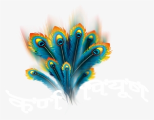 Krishanpreet Com Logo - Peacock Feather Png