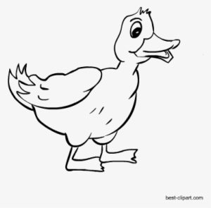 Free Animals Clip Art Farm Animals Pet Animals Jungle - Pet