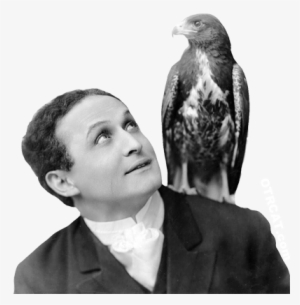 Houdini And Eagle Png - Harry Houdini Animal