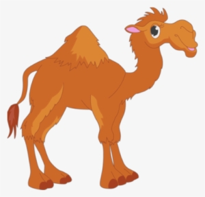 Camel - Unta Cartoon Png