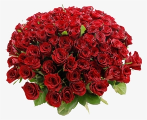 Related Wallpapers - Buquê De Rosas Vermelhas