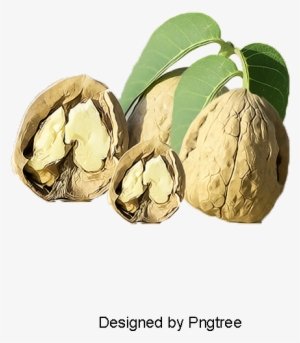 Nuts Walnut, Dried Fruit Snacks, Walnut, Nut Png And - Nut
