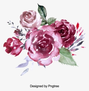 Beautiful Hand Paint Watercolor Rose Flower, Flower, - Hoa Hồng Vẽ Màu Nước