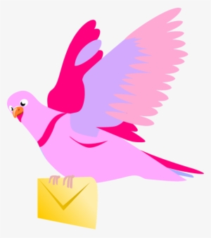 Carrier Vector Graphics - Pigeon Clip Art