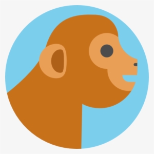 Langur Monkeys In Co-existence With Humans - Zodiac Monkey