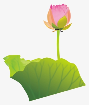 Lotus Clipart Australian Flower - Bong Sen Phat Giao