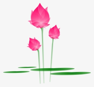 Free Download Catoon Lotus Bud Png Clipart Sacred Lotus