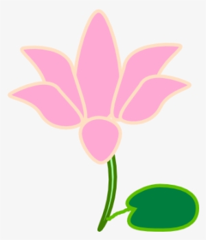 Lotus Png - Cattleya