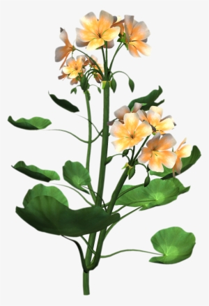 Plant Png - Flower For Embroidery Design