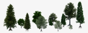 They're Also Very Easy To Import In Any Of Your Projects - Terrain Texture Tree