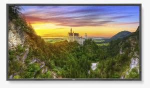 Dicom Large Format Displays - Nec Multisync X981uhd 2