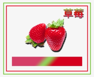 Chien Chic Perfume Strawberry - Spray