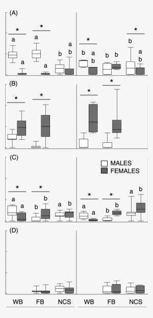 Foraging Rates Of Ruddy Turnstones , Whimbrels (b), - Diagram