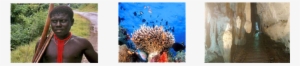 Andaman Island Tour - Great Barrier Reef Coral