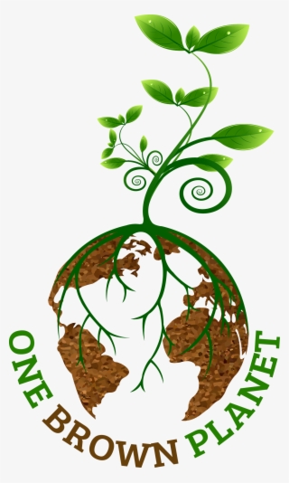 Desertification