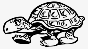 Big Image - Tortoise Clip Art