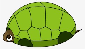 Tortoise Clipart - Clipart Best - Turtle