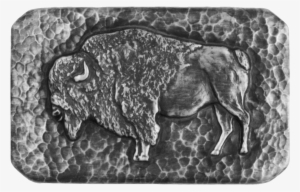 Bison