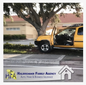 Do You Ever Think What Could Really Happen If I Didn't - Zebra Crossing