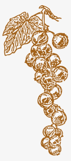 Brown Grapes Svg Clip Arts 264 X 598 Px