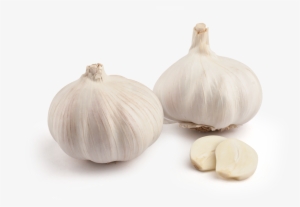 White Onion Png - Garlic