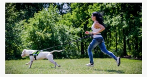 Julius K9 Running Belt