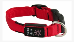 Nite Ize Nite Dawg Led Collar - Catalog Collar Dog Png