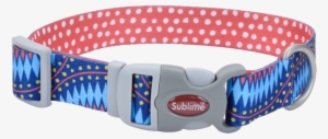 Coastal Pet Products Blue Diamond Dots Sublime Adjustable