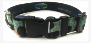 Fish Skin Dog Collars - Belt