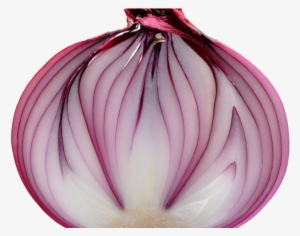 Onion Png Transparent Images - Red Onion Slice