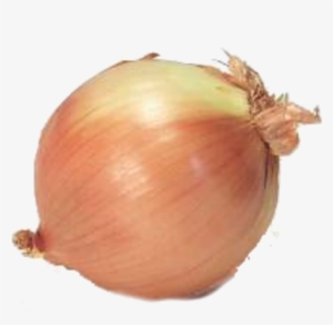 Onion Png Psd Detail - Onion Psd