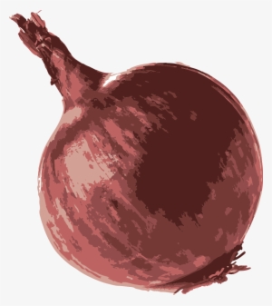 Onion