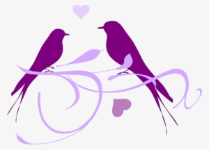 Design Clipart Love - Love Birds Clipart Png