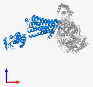 <div Class='caption-body'>pdb Entry 3sn6 Contains 1 - Protein Data Bank