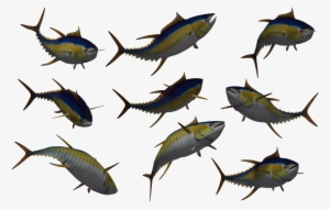 Tuna 02 By Free Stock By Wayne On Deviantart Svg Freeuse - Tuna 3d Model Free