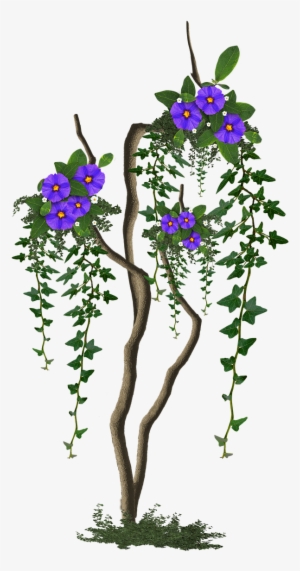 Image Cropped Tree With Flowers Tree - Lunch