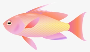 Fish Clipart Png Transparent - Clip Art
